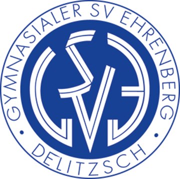 Logo GSVE